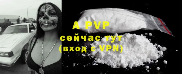 стафф Козельск