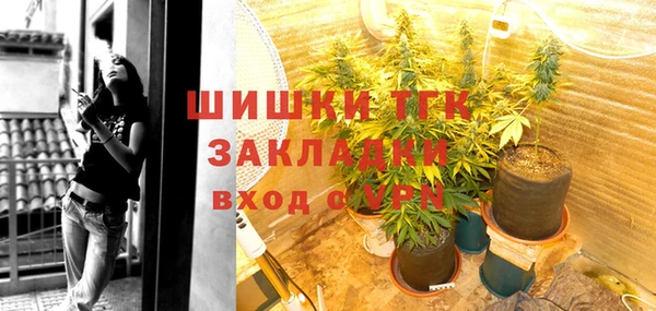 индика Заводоуковск