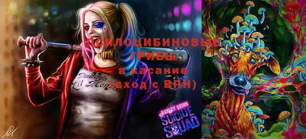герыч Коряжма