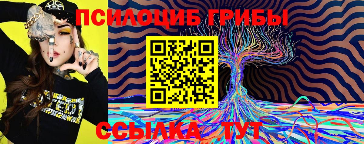 Галлюциногенные грибы MAGIC MUSHROOMS  Вход с VPN  Братск 