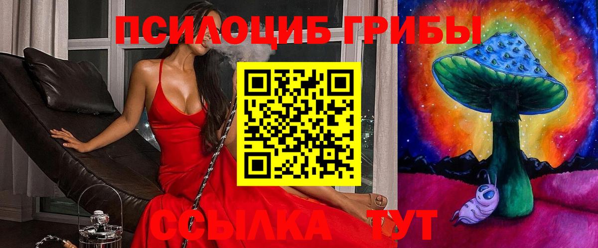 Псилоцибиновые грибы Magic Shrooms Братск